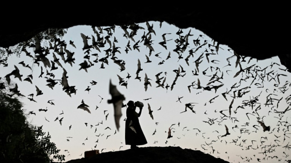 Une planète plus chaude, des animaux plus malades