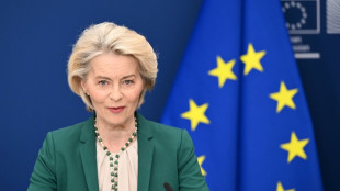 EU-Kommissionschefin wirbt erneut f&uuml;r Mini-Atomkraftwerke