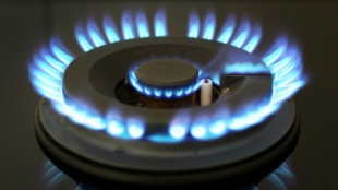 Geplantes Aus f&uuml;r Energiepreisbremsen am Jahresende erhitzt die Gem&uuml;ter