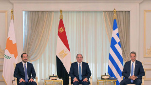 Vertice Egitto-Grecia-Cipro riafferma l'asse tra sud Mediterraneo e Ue