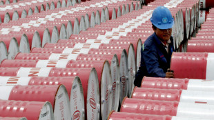 Il petrolio &egrave; in rialzo a New York a 56,18 dollari