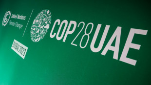 UN-Klimakonferenz in Dubai begonnen - Al-Dschaber &uuml;bernimmt Vorsitz