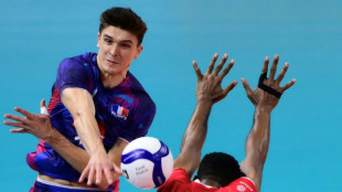 Euro de volley: les Bleus ont l'argent, et des probl&egrave;mes de riches
