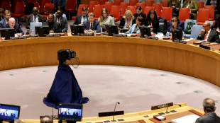 USA beantragen Abstimmung im UN-Sicherheitsrat &uuml;ber Waffenruhe im Gazastreifen