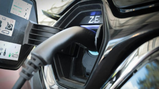 Branchenverband: Deutschland hat "&Uuml;berangebot" an Ladem&ouml;glichkeiten f&uuml;r E-Autos 
