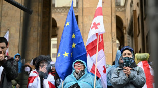 Georgiens Parlament stimmt &uuml;ber pr&auml;sidiales Veto gegen umstrittenes Mediengesetz ab