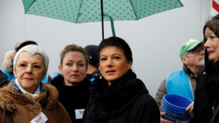 Gr&uuml;ne kritisieren Teilnahme von SPD-Politiker Stegner an Berliner Pazifismus-Demo