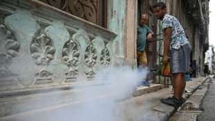 Suman 29 los menores fallecidos en Cuba por dengue y chikunguña