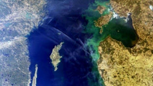Moskaus Plan f&uuml;r Ausweitung von Seegrenze: Litauen und Finnland fordern Erkl&auml;rungen