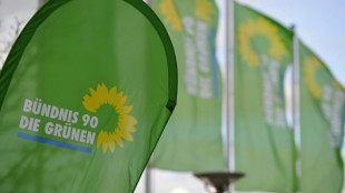 Brandenburger Gr&uuml;ne w&auml;hlen T&ouml;pfer und Raschke zu Spitzenduo f&uuml;r Landtagswahl