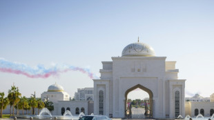 Putin mit Soldaten und Kanonensch&uuml;ssen in Abu Dhabi empfangen   