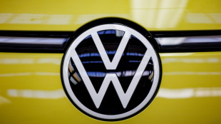 Linke fordert VW-Gro&szlig;aktion&auml;re zu R&uuml;ckzahlung von Milliarden-Dividenden auf