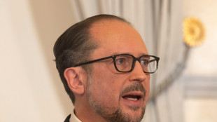 Österreichs Außenminister Schallenberg wird übergangsweise Regierungschef