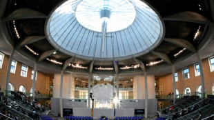 Bundestag befasst sich mit AfD-Spionageaff&auml;re und Veteranentag