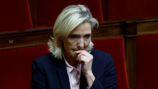 Prozess gegen Le Pen wegen Scheinbesch&auml;ftigung beginnt Ende M&auml;rz