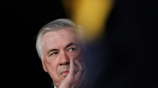 Foot: les travaux d'Hercule d'Ancelotti pour relancer le Brésil