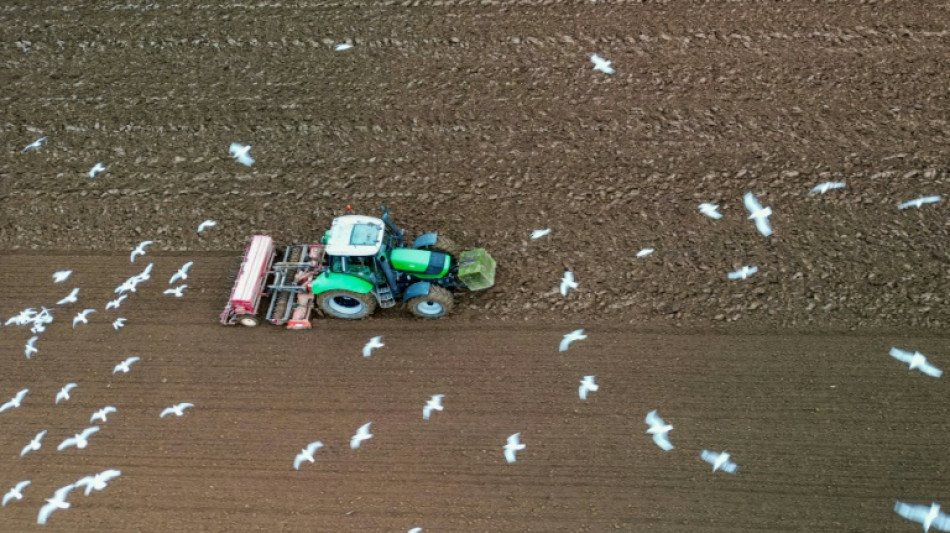 Lindner offen f&uuml;r R&uuml;cknahme von geplanter Streichung der Agrardiesel-Subvention