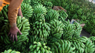 Del Monte getta la spugna e fa bancarotta, chiesto il Chapter 11