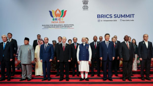 China, Russia, India seek economic cooperation at BRICS