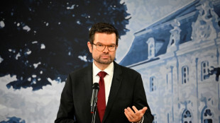 Buschmann: Gr&ouml;&szlig;te Gefahr f&uuml;r Demokratie geht von Rechtsextremismus aus
