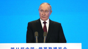Putin wirbt bei Besuch in China f&uuml;r engere Wirtschaftsbeziehungen zu Peking