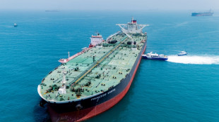 P&eacute;trole: quelle hausse de production de l'Opep+ face au conflit en Iran ?