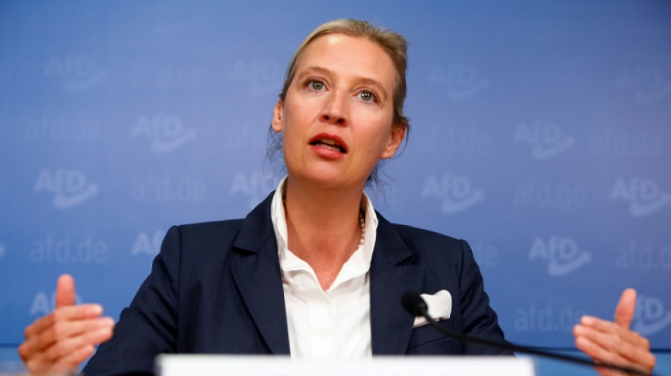 Wirtschaft gegen rechts: Mehrere Verb&auml;nde wenden sich gegen Fremdenfeindlichkeit