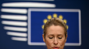 Kallas zu neuer US-Sicherheitsstrategie: USA weiter "unser gr&ouml;&szlig;ter Verb&uuml;ndeter"