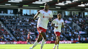 Liverpool boss Iraola urges Isak to raise his level