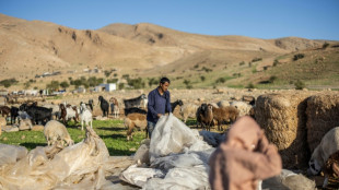 West Bank Bedouin community driven out by Israeli settler violence
