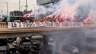 Retraites: les syndicats jouent leurs derni&egrave;res cartes pour dire "stop" au gouvernement