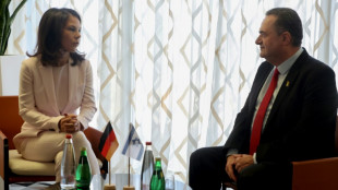 Baerbock: Rein milit&auml;rischer Druck gef&auml;hrdet Leben der Geiseln
