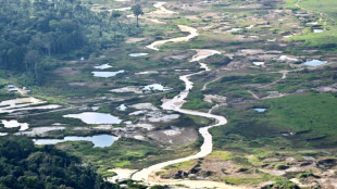 Brasil se expone a un mayor impacto de El Ni&ntilde;o por la p&eacute;rdida de &aacute;reas naturales