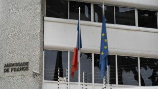 Venezuela limita representaci&oacute;n de Francia, Pa&iacute;ses Bajos e Italia por "conducta hostil"