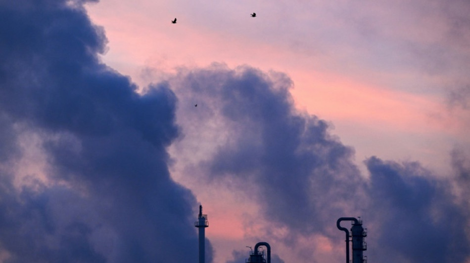 Stimmung in der chemischen Industrie tr&uuml;bt sich weiter ein