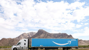 Un grupo sueco presenta una demanda contra Amazon por la venta de muñecas sexuales con apariencia infantil