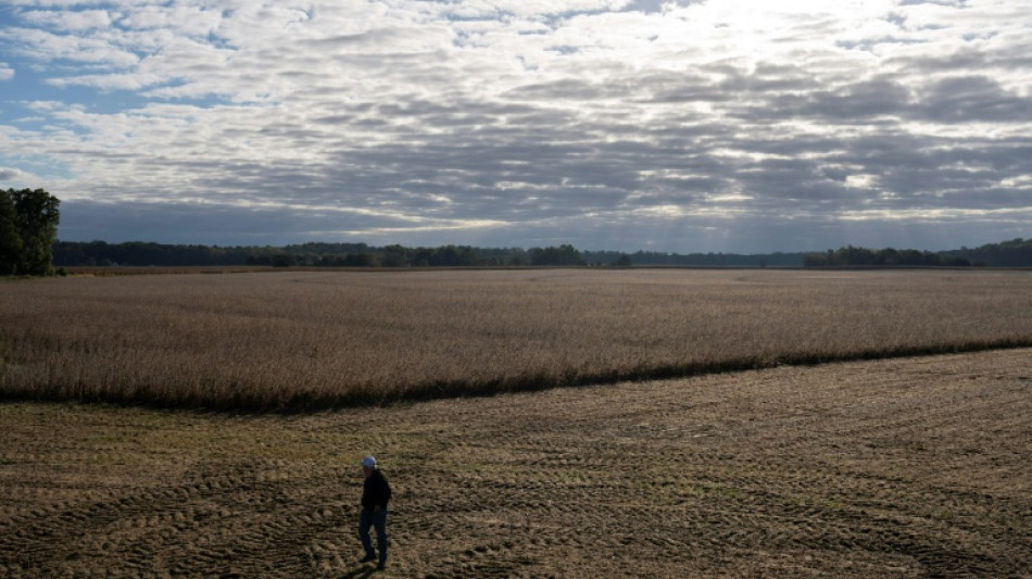 Fertilizer prices surge from Iran war, squeezing weary US farmers