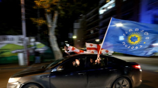 Georgien: Wahlkommission erkl&auml;rt Regierungspartei zur Siegerin der Parlamentswahl
