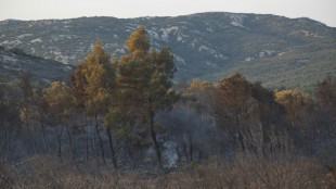 Après l'incendie dans l'Aude, un chantier de plusieurs années pour l'ONF