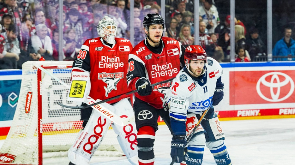 Eishockey: Haie auf Kurs - Eisb&auml;ren gleichen aus
