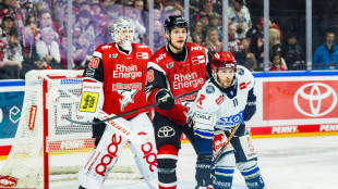 Eishockey: Haie auf Kurs - Eisb&auml;ren gleichen aus