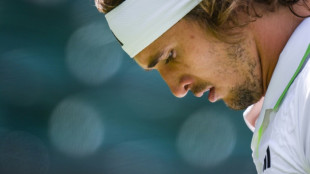 Zverev vence e vai &agrave;s quartas de final do ATP 500 de Hamburgo