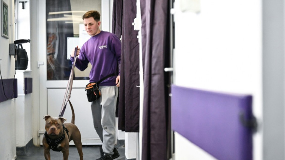 Heartbroken Brits abandon pets as living costs bite