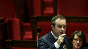 Epilogue &agrave; l'horizon pour le budget, Lecornu va choisir l'outil-couperet