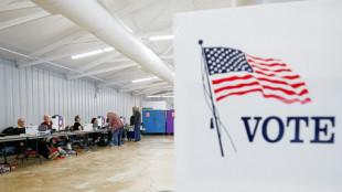 'Pseudo-journalism': Partisan 'news' sites target US midterms