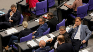 BR: AfD im Bundestag besch&auml;ftigt &uuml;ber 100 Mitarbeiter aus rechtsextremem Milieu
