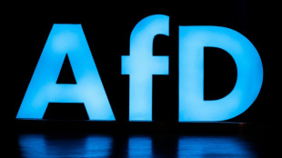 Sicherheitspolitiker von CDU und Gr&uuml;nen warnen vor russischer Spionage durch AfD