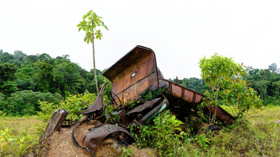 Loi simplification: un article sur la r&eacute;forme du code minier inqui&egrave;te les &eacute;cologistes en Guyane
