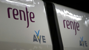 La compagnie ferroviaire espagnole Renfe suspend son projet de liaison &agrave; grande vitesse entre l'Espagne et Paris
