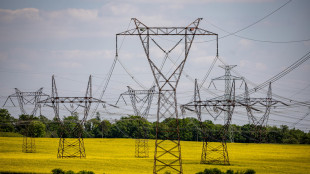 Gme, ad aprile elettricit&agrave; sotto 100 euro, minimi da giugno 2024